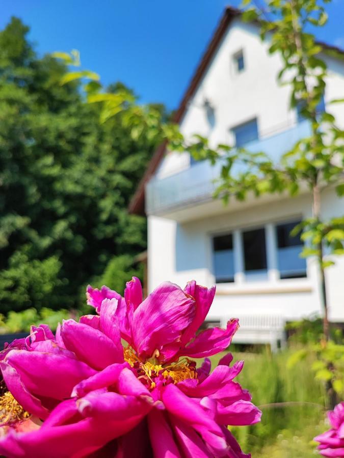 Villa Muhrbach Weier Exterior foto